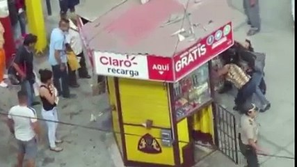 Crazy dog tasered,maced while attacking another dog