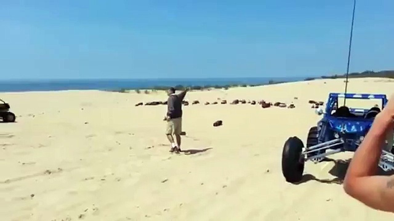 Deer Smashes Into a Skateboarder
