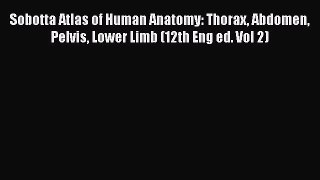 [PDF] Sobotta Atlas of Human Anatomy: Thorax Abdomen Pelvis Lower Limb (12th Eng ed. Vol 2)