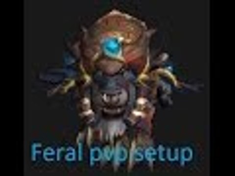 6.2.3 Feral druid PVP Glyphs, Stat priority Rotation, and more!