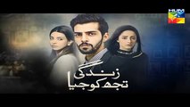 Zindagi Tujh Ko Jiya Episode 37 Promo HD Hum TV Drama 21 April 2016