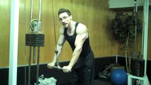 Best Tricep Workout Triceps Exercises How to get Big Triceps with Victor Costa Vicsnatural