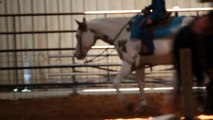2002 sorrel overo paint gelding for sale-Chapter After Chapter