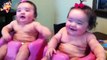 Baby Twins - Funniest Baby Compilation - Cute Funny Baby