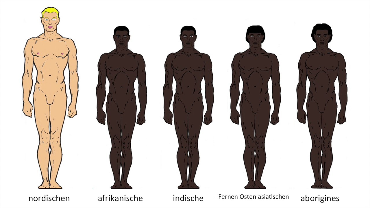 Die arische Rasse