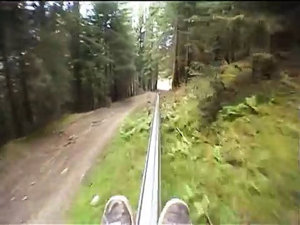 Miederss Alpiine Coaster (with no brakes!!)