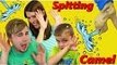 Disney | HELP!!! Spitting Camel Board Game Challenge Fun Water Shooting Challenge for Kids Family Game Night