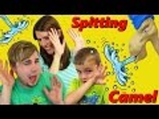 Disney | HELP!!! Spitting Camel Board Game Challenge Fun Water Shooting Challenge for Kids Family Game Night