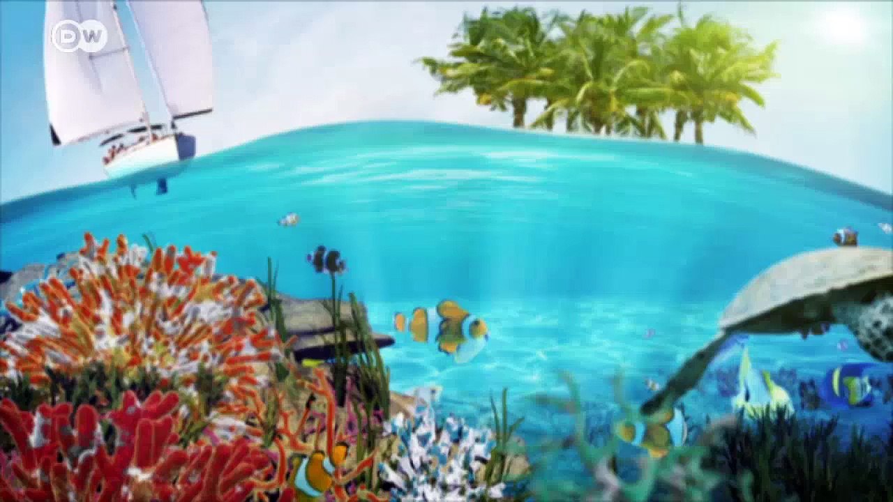 Sea-gypsies and scientists saving a disappearing world | Environment