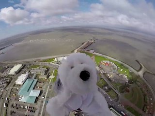 Jose Luis Colmenter: ÚLTIMA HORA. Perro de peluche enviado al espacio con una GoPro