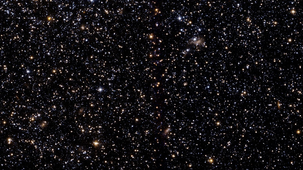 A case of suspended animation