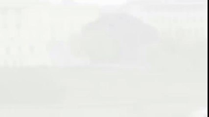 Este aterrizaje en la Casa Blanca le cuesta 120 días de cárcel