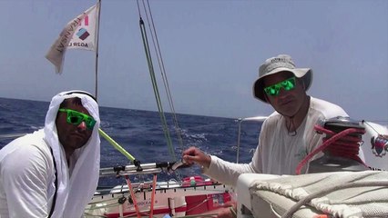 Barre et coups de barre à bord de Cercle Vert !