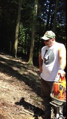 They Chopped Down This Old Tree. But Moments Later, Realized They Made A Terrible Mistake!