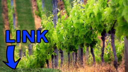 Mortal Kombat X keygen telecharger 2016