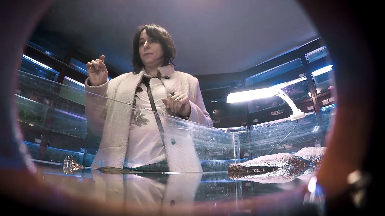 Eşcinsel bir kaplumbağanız olmasını ister miydiniz?