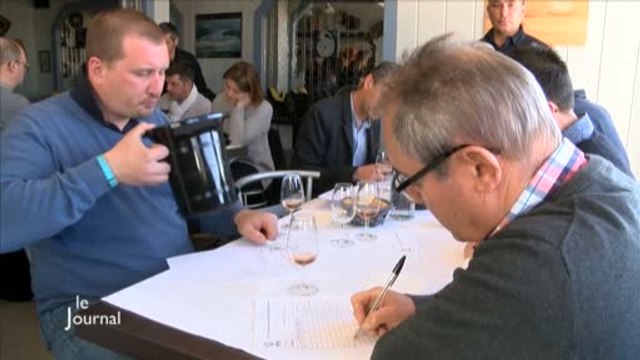 Vins : Le 32ème concours des Fiefs-vendéens