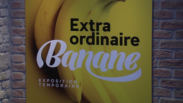 Musée Portuaire de Dunkerque : La Banane Extra Ordinaire