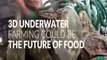 Find out why the farms of the future could be underwater