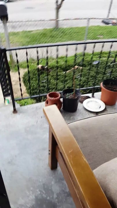 La fille voit le garçon se faire humilier par la fenêtre. Mais quand elle lui apporte ce paquet rouge, il rest