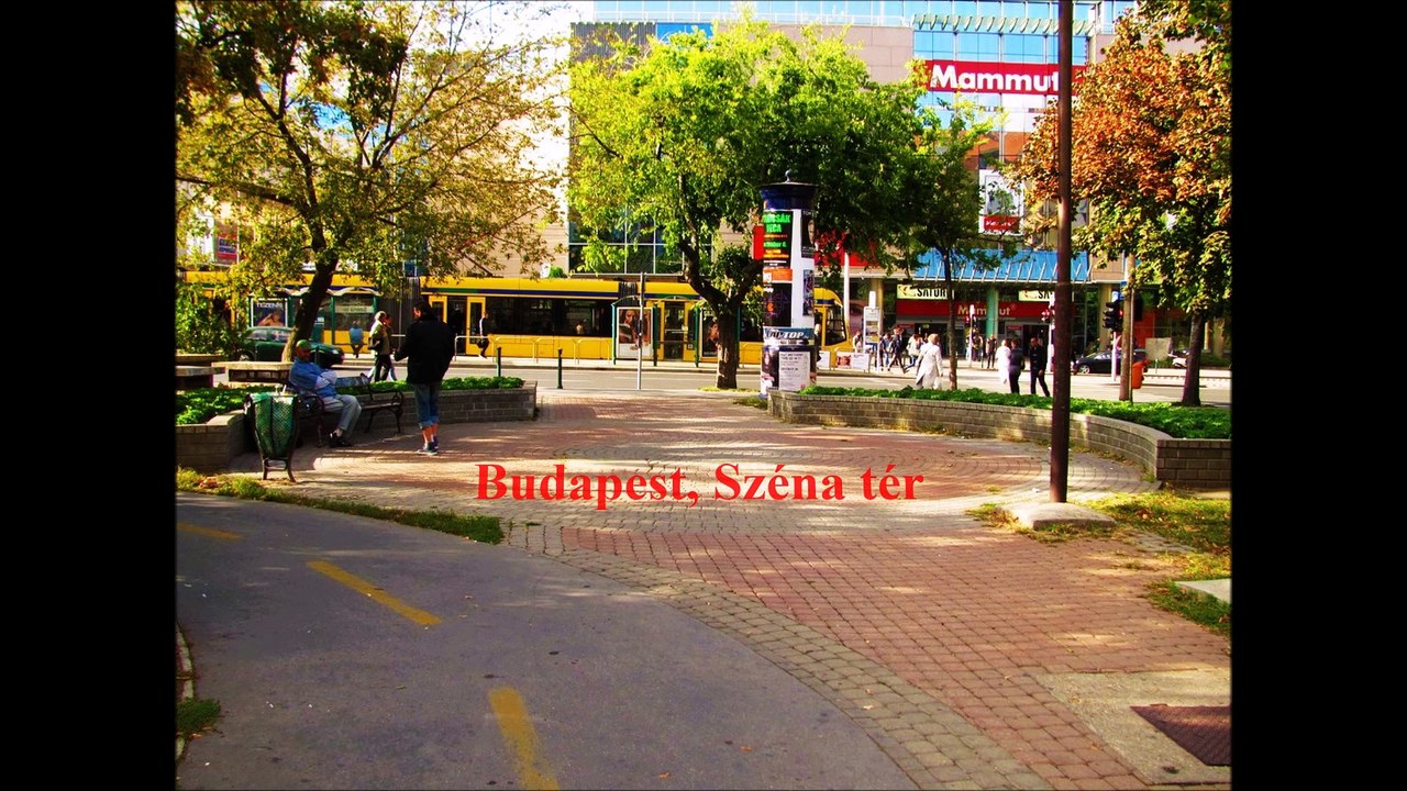 STAR WARS  Identities LFGEB