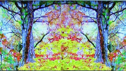 Vincent LAMMOUR Mes plus grandes joies INSTRUMENTAL (avi)