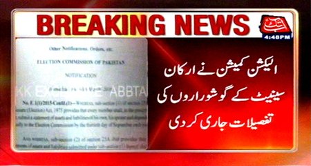 ECP issued assets detailing of Senate members