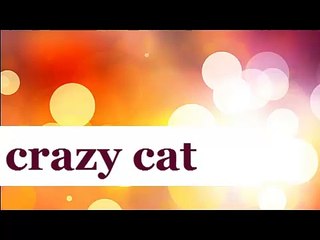 Have you seen the crazy never before?