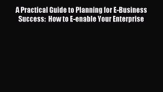 Read A Practical Guide to Planning for E-Business Success:  How to E-enable Your Enterprise