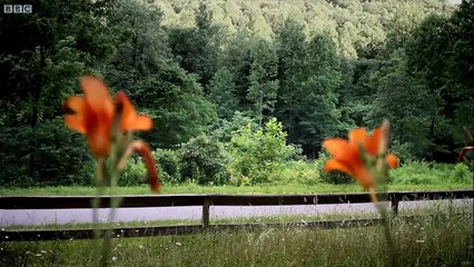 $1000 car challenge part one Top Gear USA Series 1