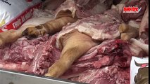 Bắt hơn 1 tấn thịt heo bốc mùi hôi thối đang trên đường ra chợ