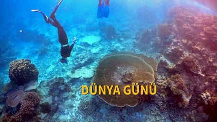 Paris Anlaşması'nı imzalamak için artık çok mu geç?