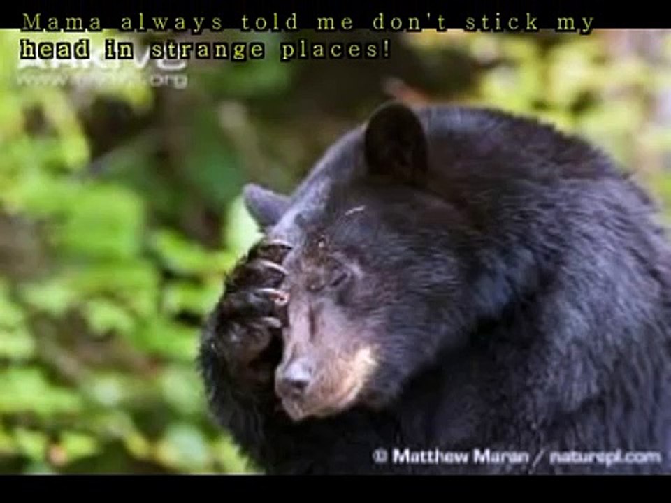 Couple Spots A Poor Creature On The Roadside. Now Watch When They Approach Him…