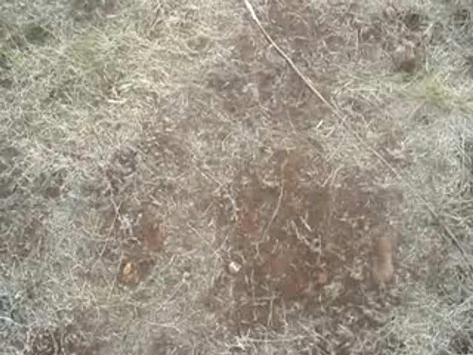 shockraver decade undergound free tekno teknival