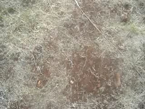 shockraver decade undergound free tekno teknival