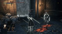 Dark Souls III - High Wall of Lothric: Use White Soapstone Coop Vordt of the Boreal Valley Bossfight