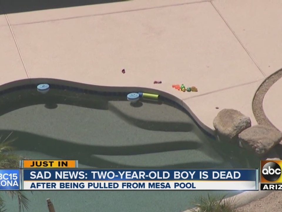 2-year-old hospitalized in drowning call has died