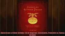 FREE DOWNLOAD  American  Other Drinks 1878 Reprint Cocktails Punches  Fancy Drinks  DOWNLOAD ONLINE