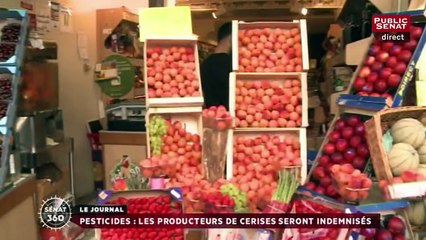 Sénat 360 : Primaire de Droite : Les règles du jeu / Un plan pour lutter contre la pédophilie à l'école / Les 10 ans de la privatisation des autoroutes (22/04/2016)