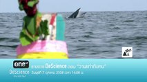 TEASER DeScience | วาฬเท่ากับคน | พุธ 7 ต.ค.58 เวล