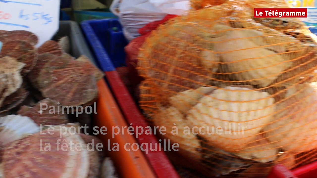 Paimpol. Le port se prépare à accueillir la fête de la coquille