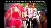 Ha Ha Ha Groom Run Away From Wedding