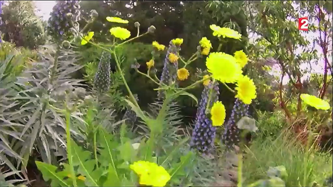 Var : à la découverte du Domaine du Rayol