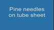 Pine needles on tubesheet