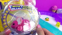Shopkins Season 3 Taco Terrie Chee Zee Ride Little Live Pets Lil Mouse Track Fun Toy Revi