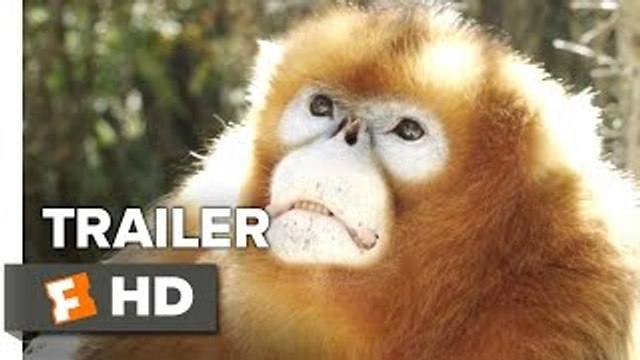 Born in China TRAILER 2 (2017) - Disneynature Movie HD