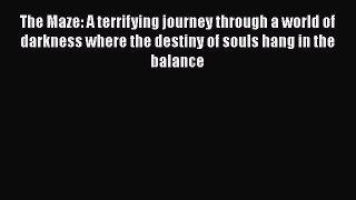 Book The Maze: A terrifying journey through a world of darkness where the destiny of souls