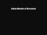 [Read Book] Indian Mounds of Wisconsin  Read Online