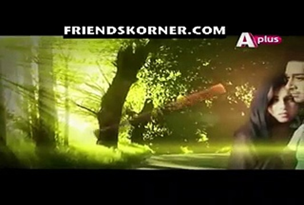 Bheegi Palkein Episode 24 - FULL A PLUS DRAMA 22 APRIL 2016