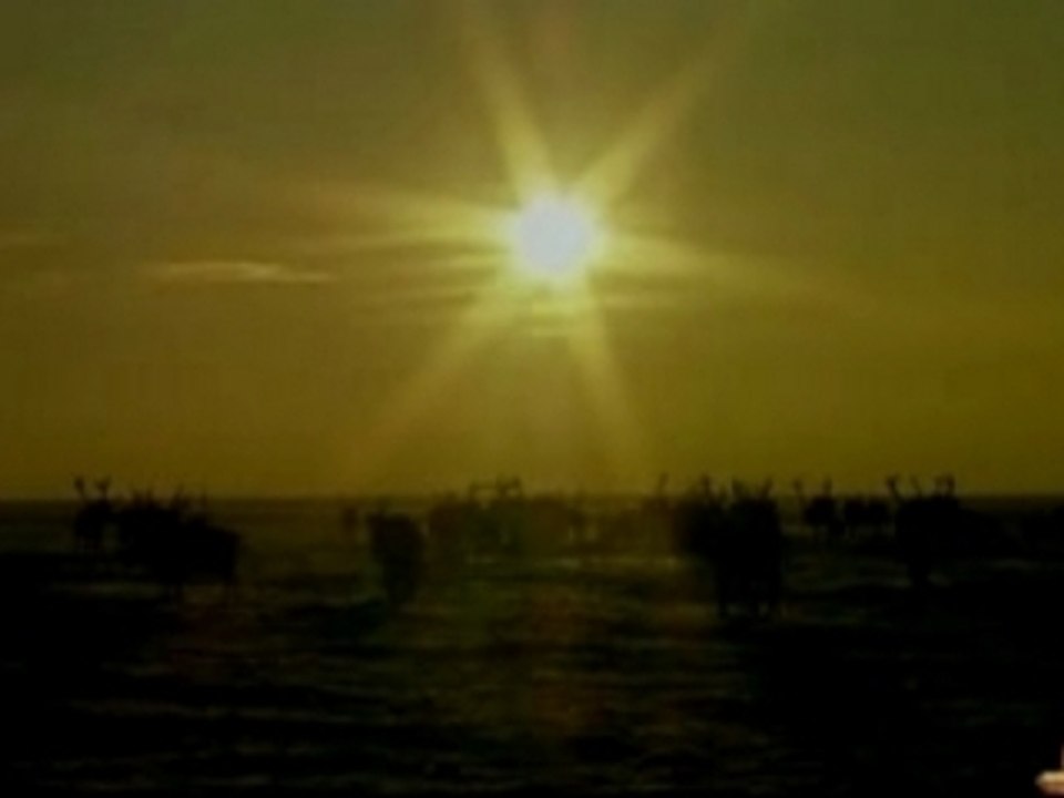 Buddha Bar Nature Trailer